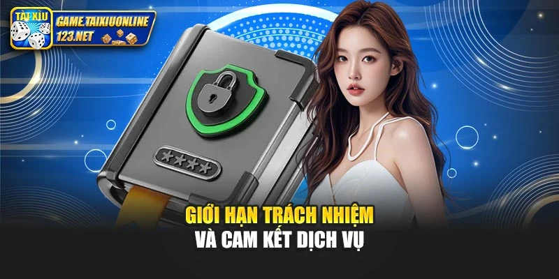 Giới hạn trách nhiệm và cam kết dịch vụ