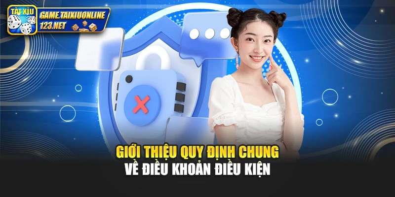 Giới thiệu quy định chung về điều khoản điều kiện
