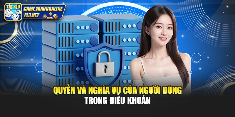Quyền và nghĩa vụ của người dùng trong điều khoản