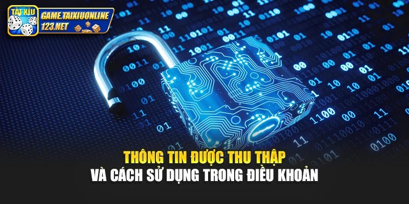 Thông tin được thu thập và cách sử dụng trong điều khoản