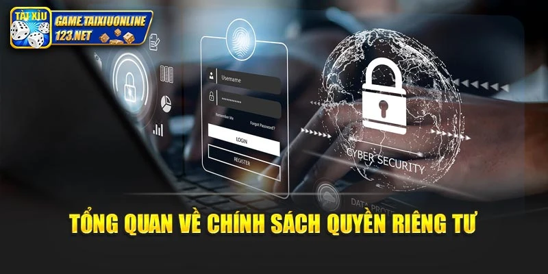 Tổng quan về chính sách quyền riêng tư